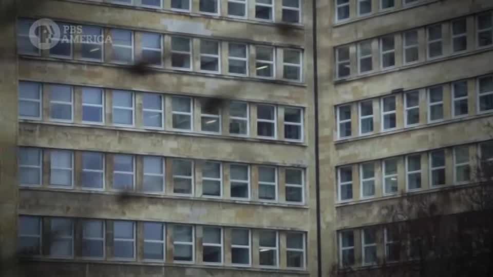 mi697jypf7pd.jpg