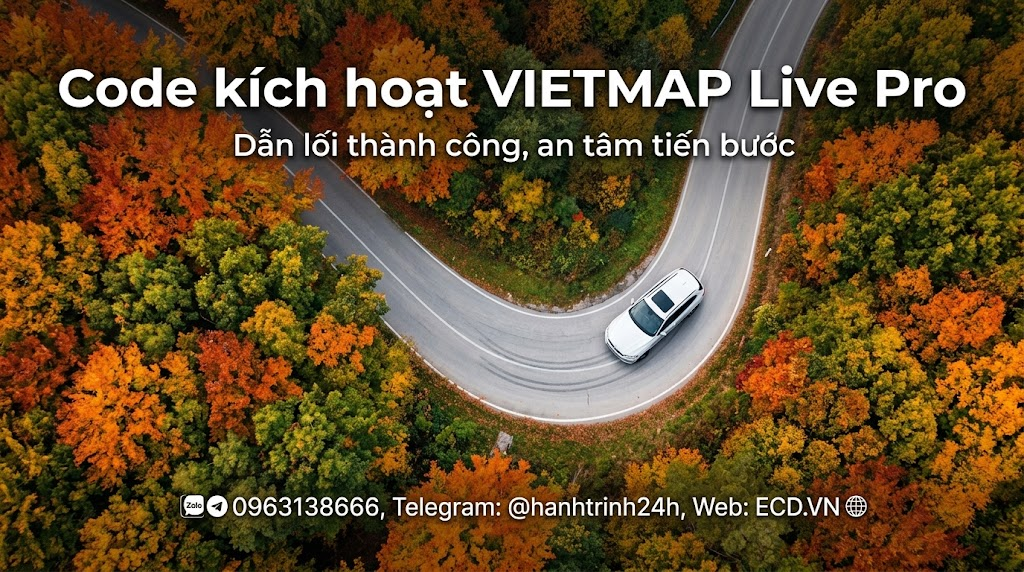 vietmap lexus