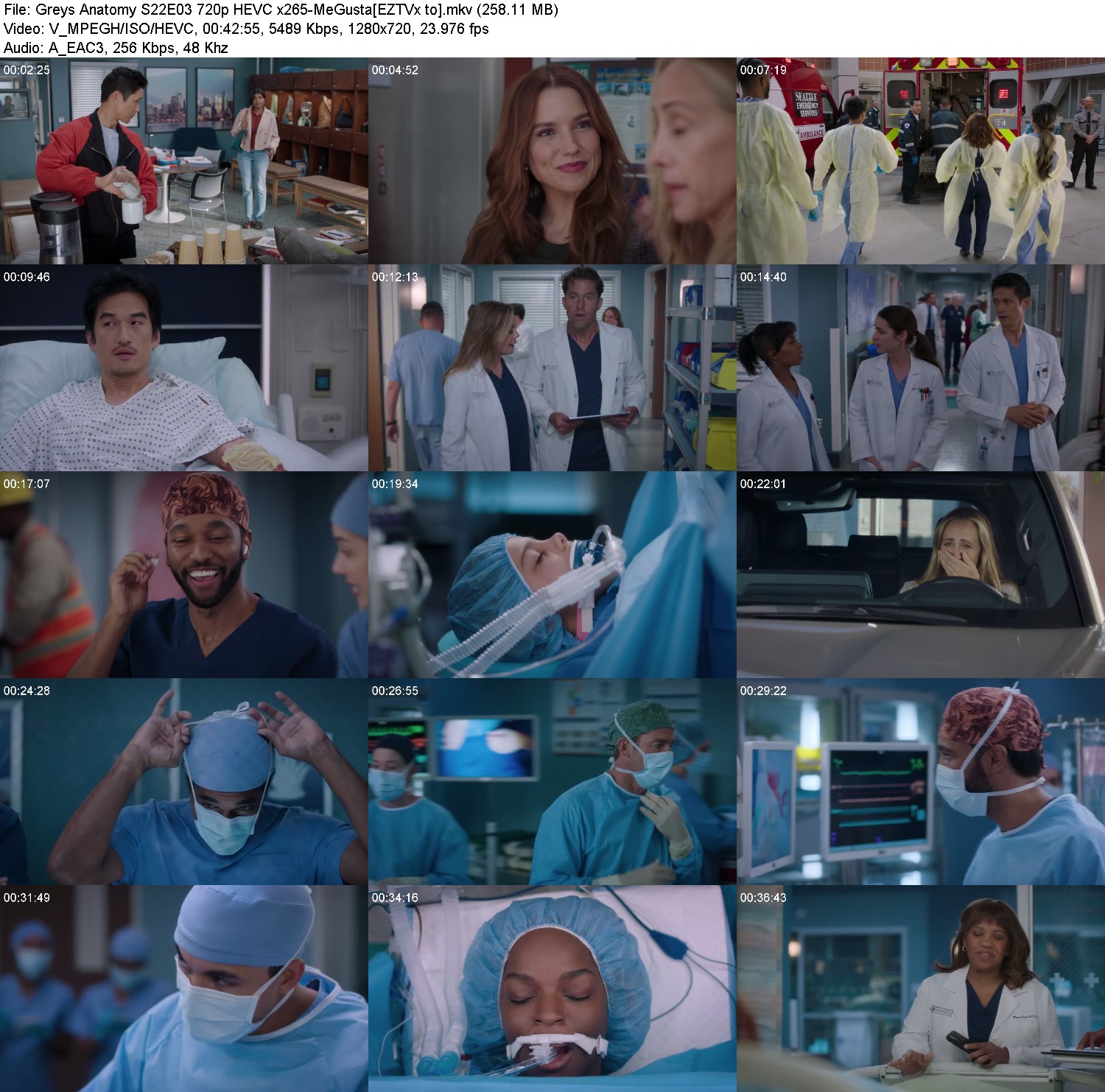 [Image: 1xo5qam71voc.jpg]