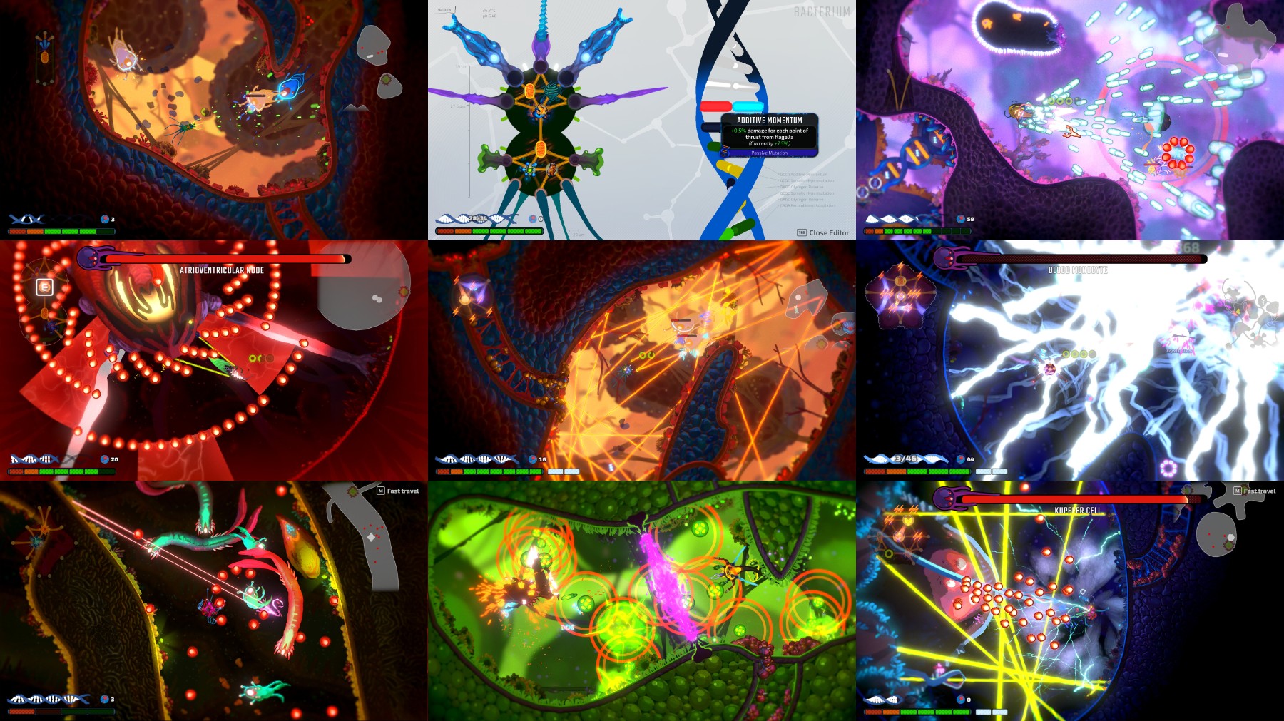 Pathogenic-Update-v1-2-1TENOKE.jpg