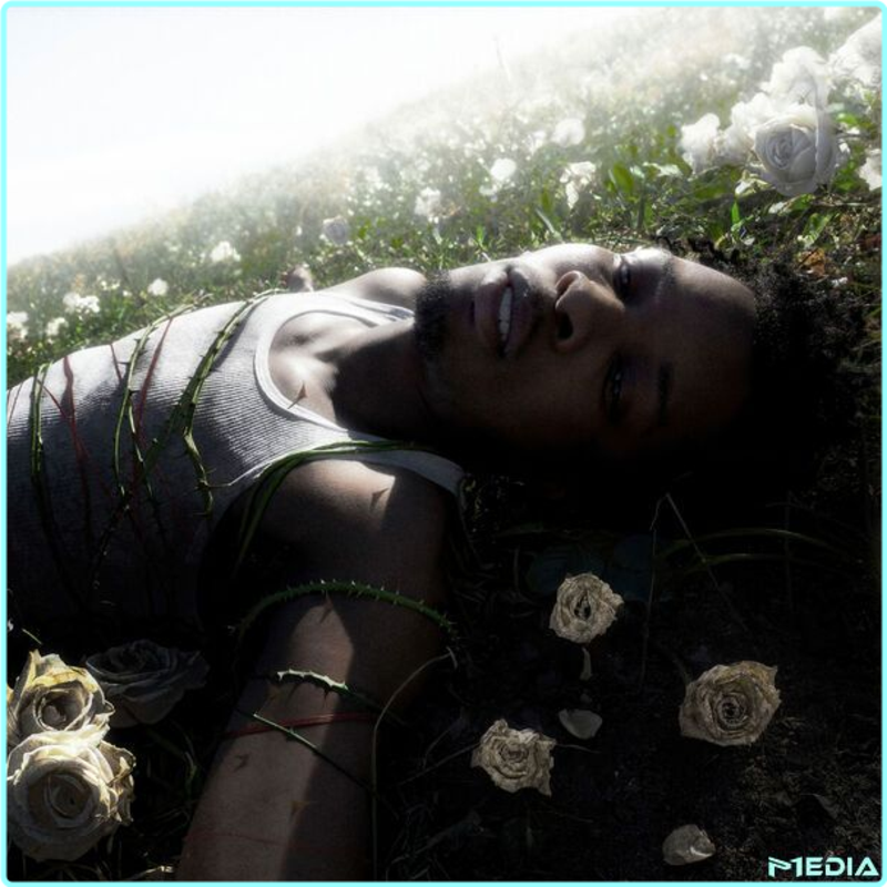 [Image: 1l368qvhkrun.png]