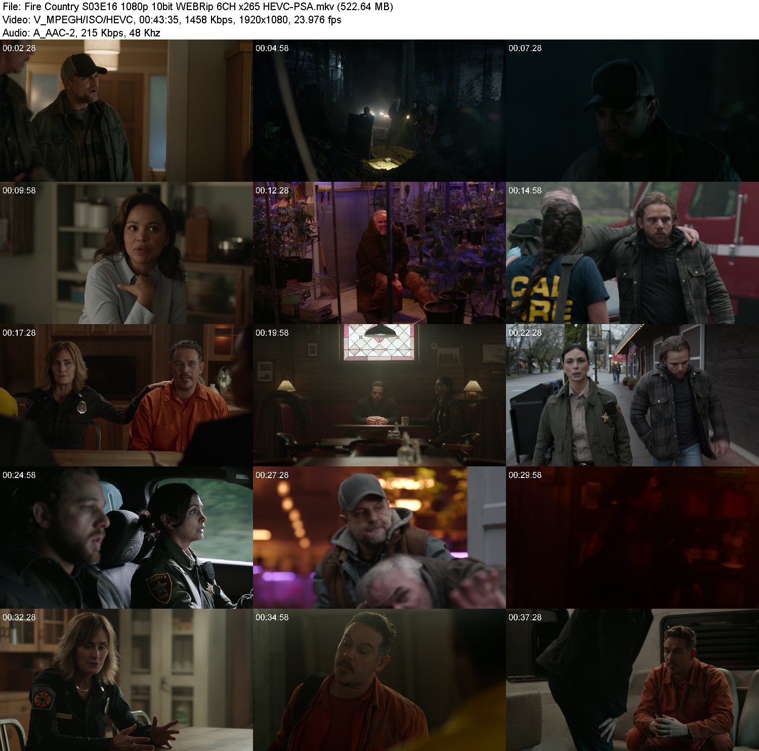 [Image: udd28ltr3ik0.jpg]