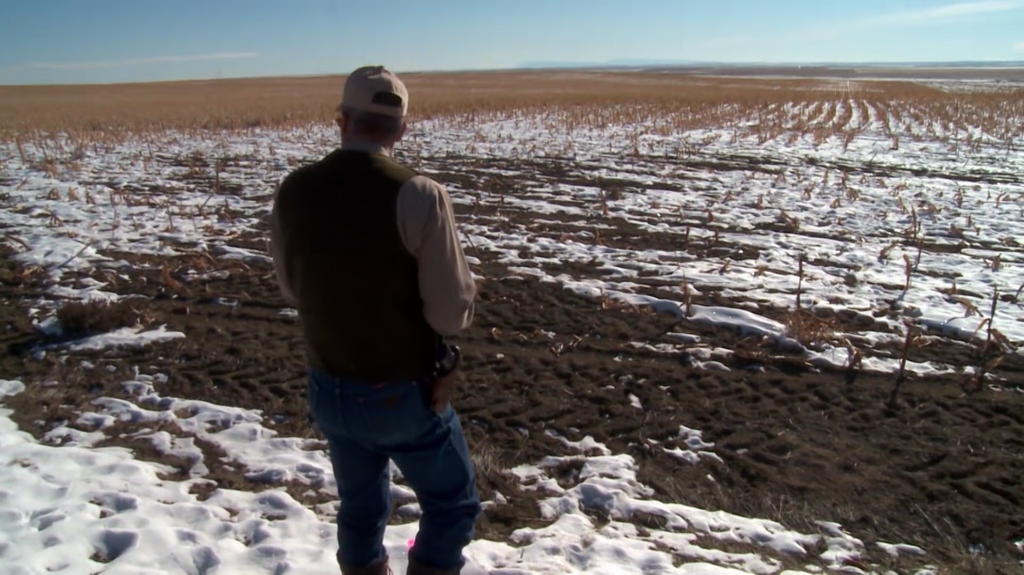 [Image: 1n77voyxtf4f.png]