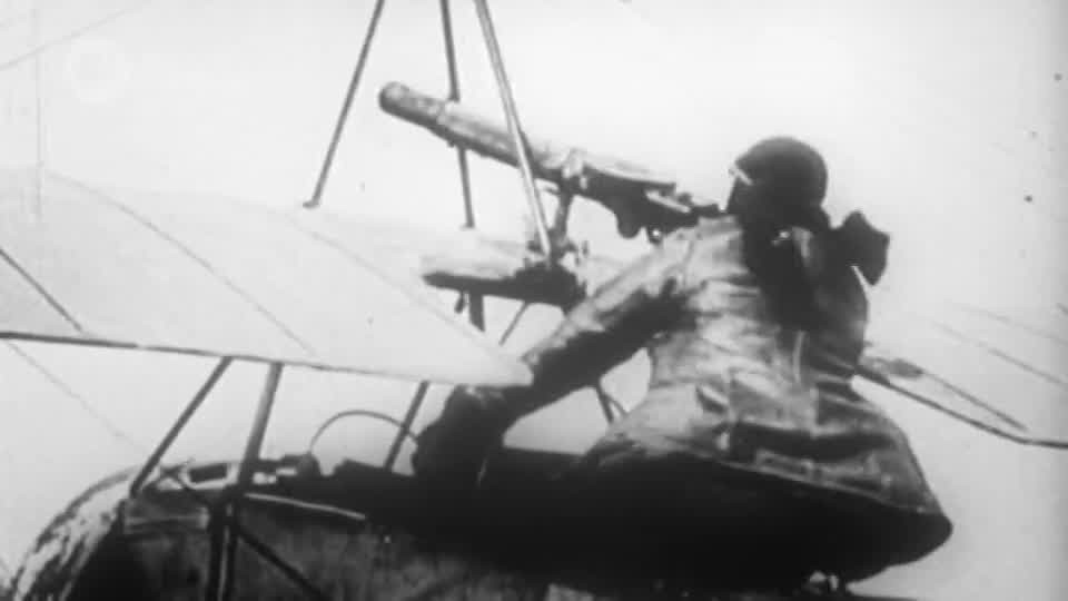 [Image: s5g8a5birf1f.jpg]