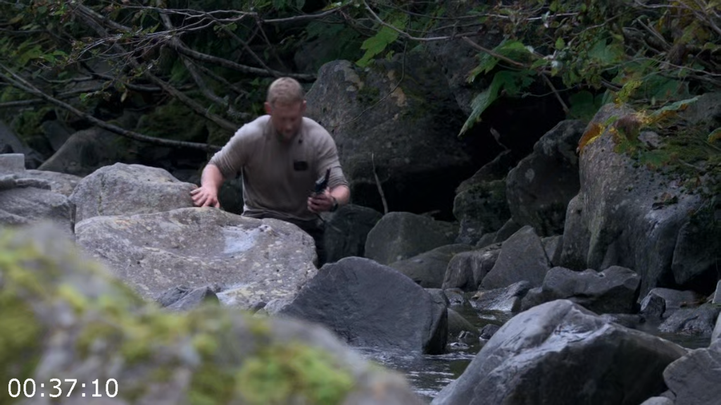 [Image: g266hi0vgzbj.png]