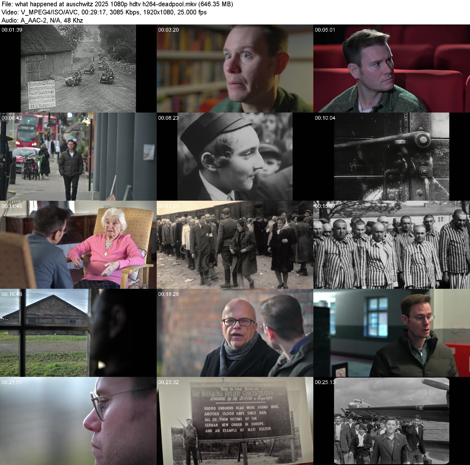 [Image: y5hxwa78zli7.jpg]