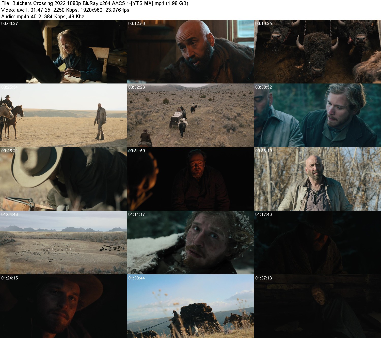 [Image: fa53bpjc9yc1.jpg]