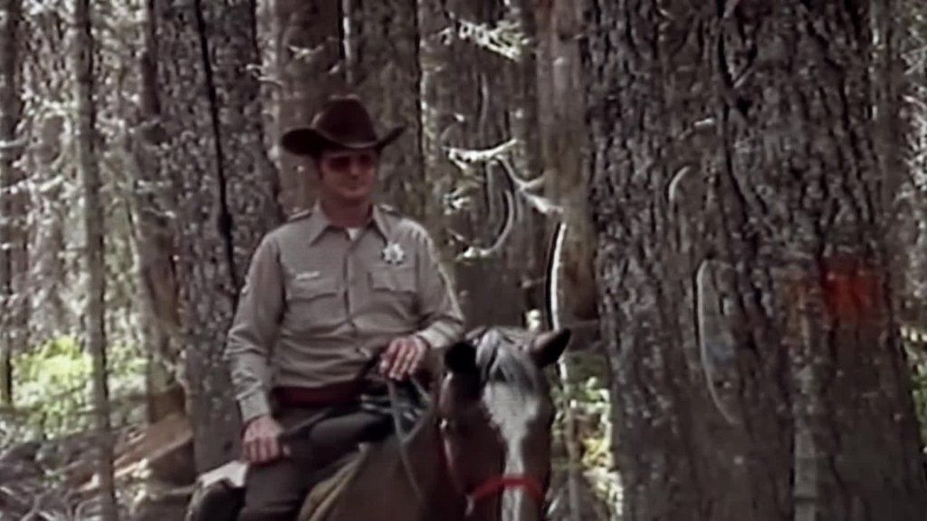 [Image: ujlgoo51pm29.jpg]