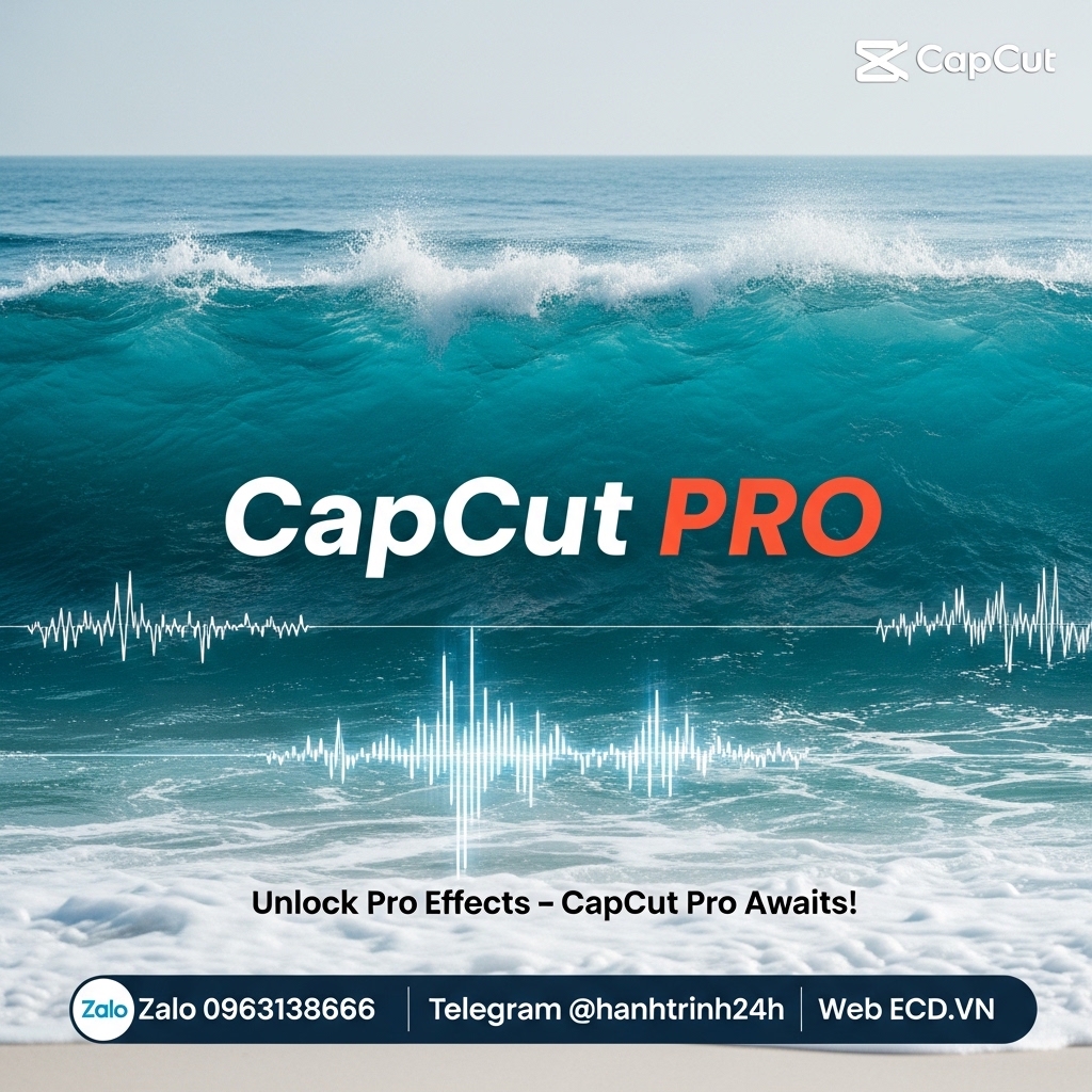 capcut update discount