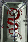[Imagen: three-of-swords.jpg]