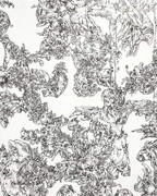 277990583-390692952906887-1769034370317312173-n