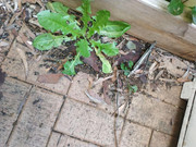 photo_2020-08-26_17-11-44