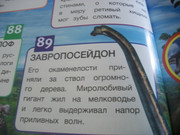 https://i.postimg.cc/S286LPCw/100-8077.jpg