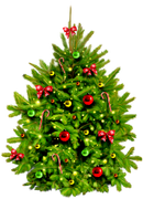 Christmasswishoffairydngreentree