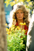Farrah-Fawcett-mb66