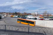 IMG-2799