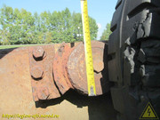 IMG-1631