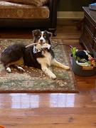 20B1D252-853D-4E59-B448-26F30F78D3AB