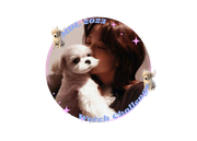 Jisoo and Dalgom Badge 1