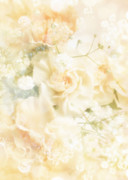 HS097