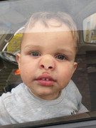 Rayan-Steyn
