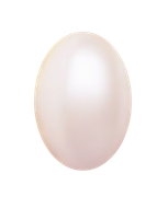 0-1c0e00-d2c2f6a2-orig