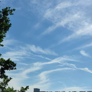 IMG_20220622_164723_1