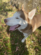 A63DBAAD-CB47-49F1-9E11-18CB5305DA75