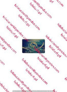 AMEX Bluebird_cleaned