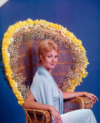 shirley-jones-mb33