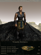 pancerze i ubrania (30)