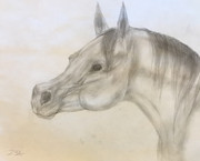 7064C029-27C1-4AB3-8408-1C0C7F10CC6F