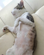 2018-06-28 19.50.41 1812112301584845310_338237262