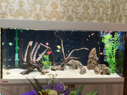 C25673C0-F4BD-4764-92BA-828ACC04FDE3