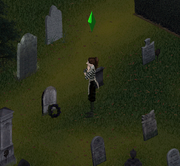 contemplating mortality