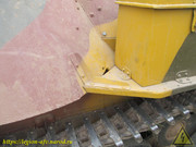 IMG-6654