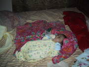 baby hold the bottle