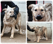 Be-Funky-collage-25.jpg&key=dc8d237d43e4