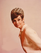 Audrey-Hepburn-mf36