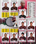 Album-Calciatori-2012-2013-Panini-079