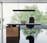 Executive Office Desks
