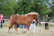 IMG-7338-wynik