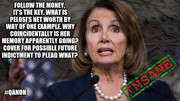PelosiFollowMoney