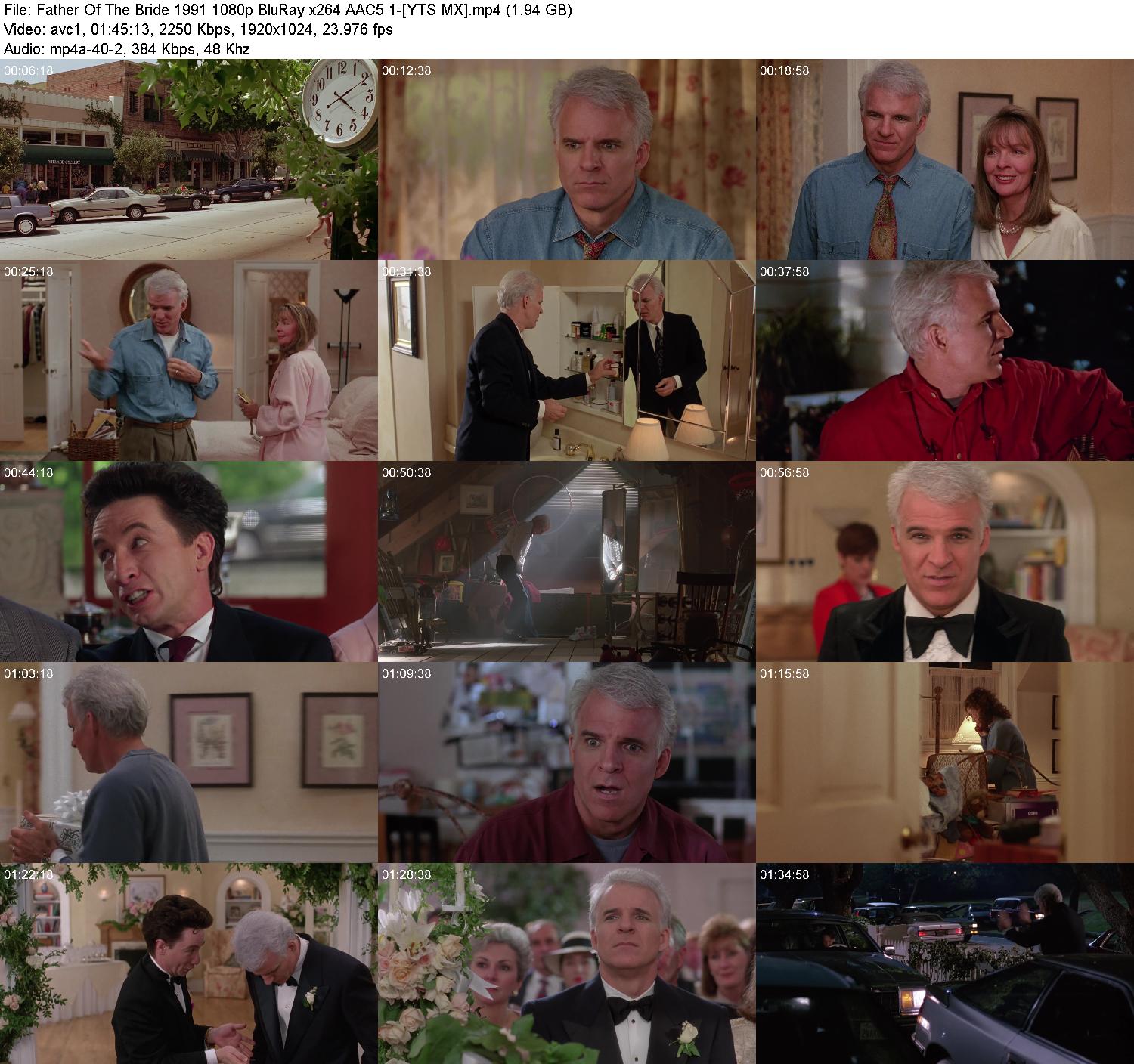 Father-Of-The-Bride-1991-1080p-Blu-Ray-5