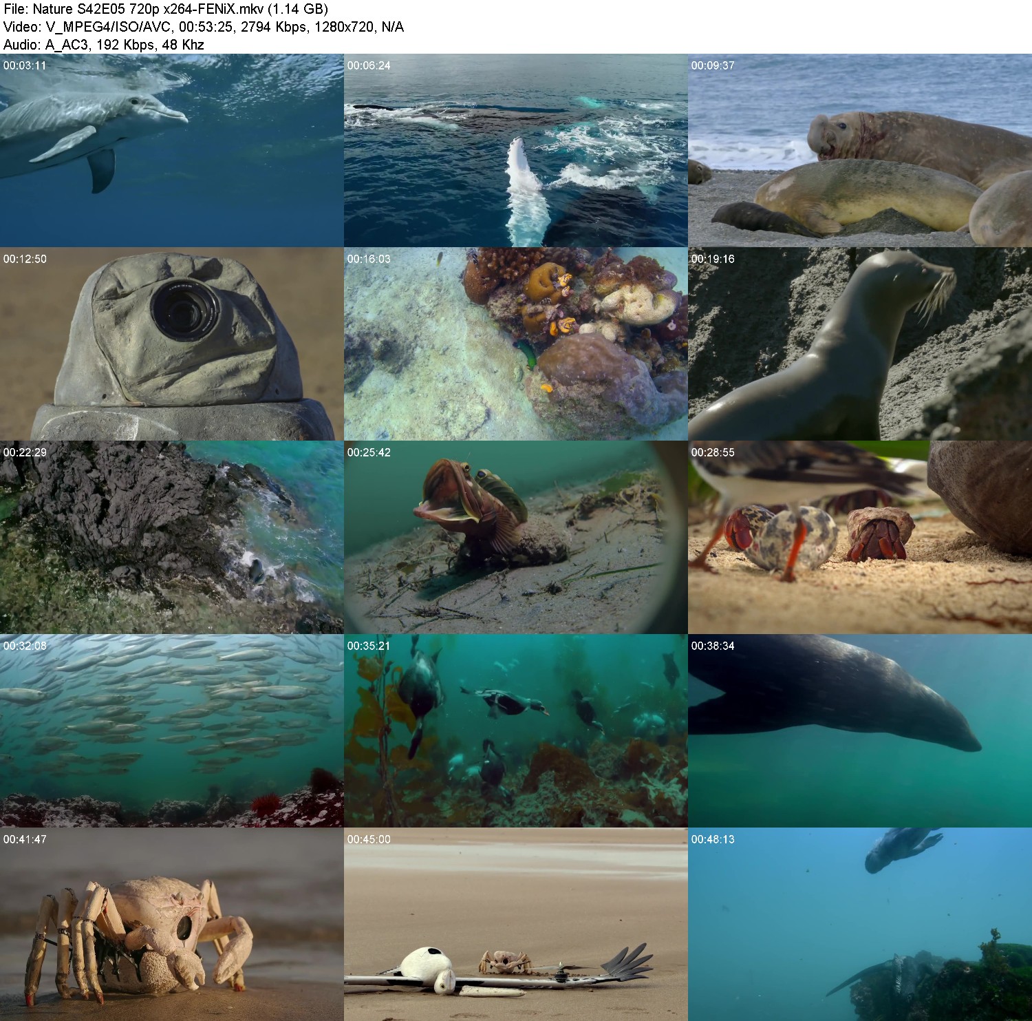 [Image: niywf11wd00h.jpg]