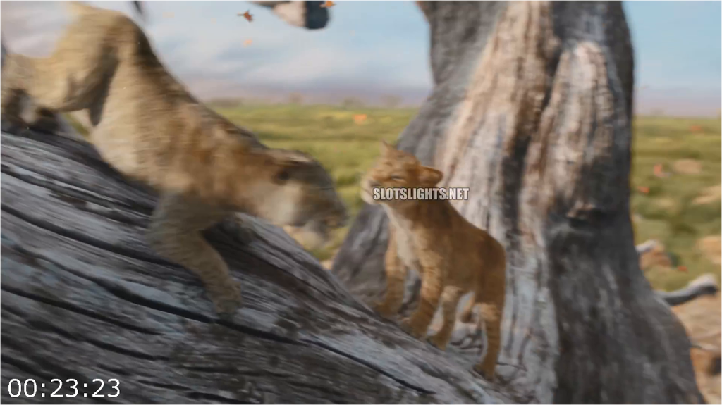 [Image: v5mux6v1pr0i.png]