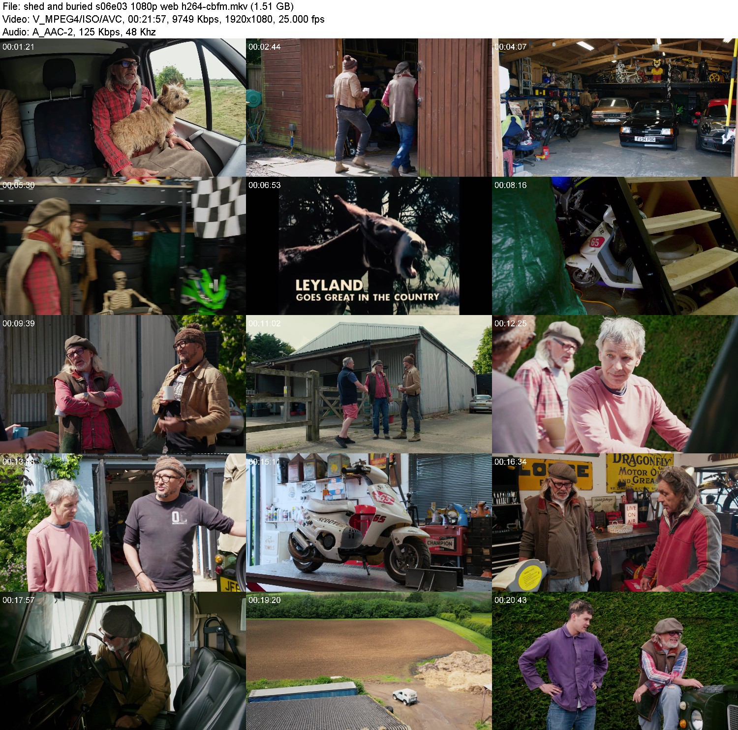 [Image: hwm67etnrd19.jpg]