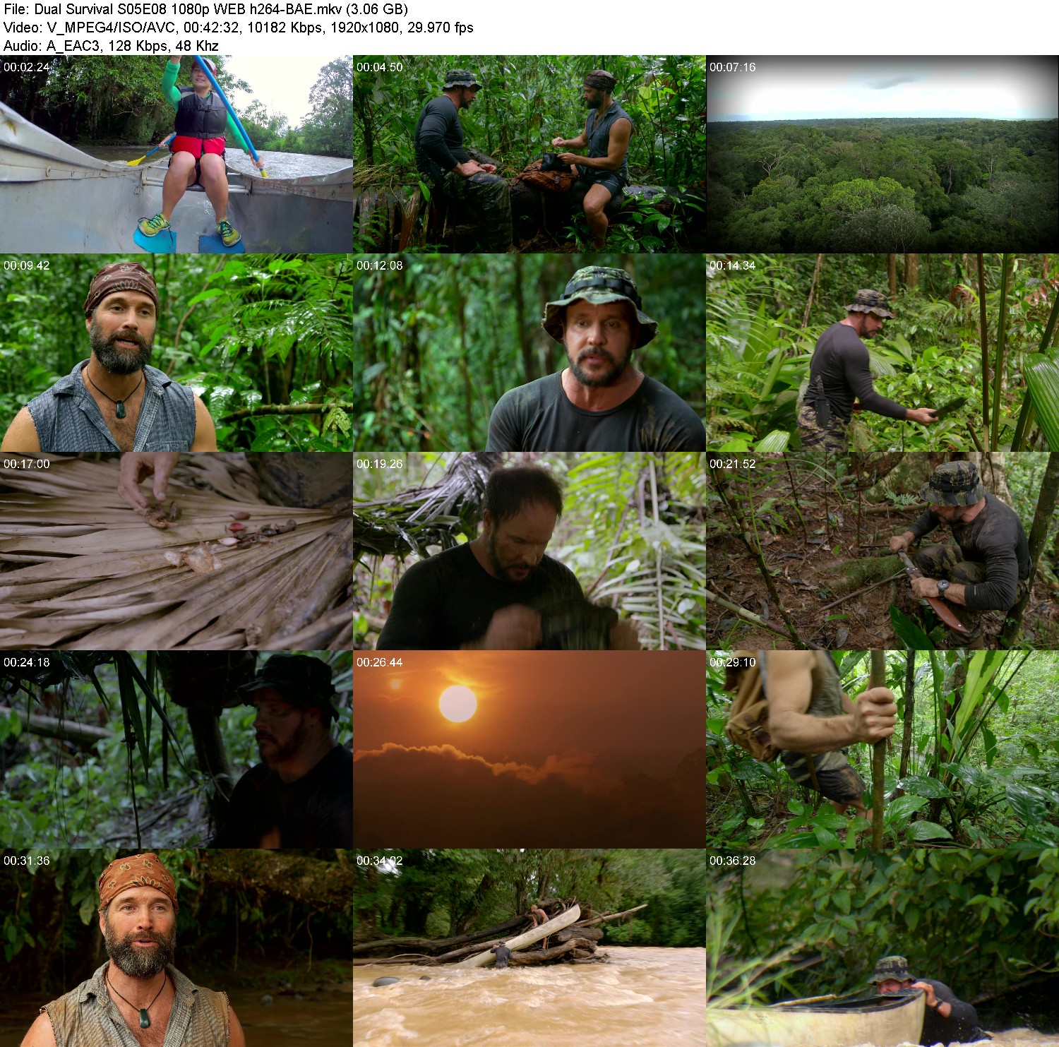 [Image: gaa994sfwoe9.jpg]