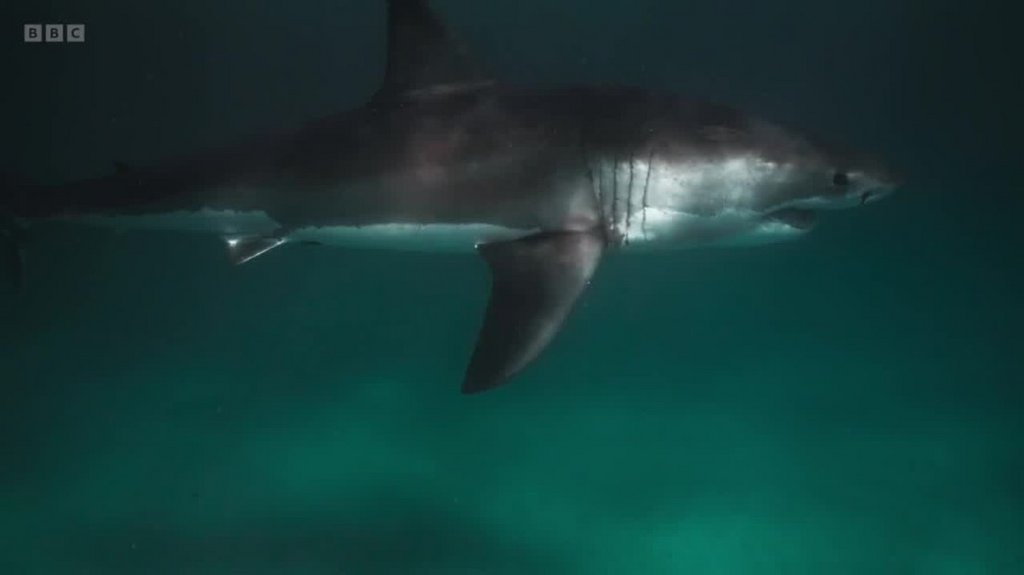 [Image: r1ghhoq747im.jpg]