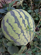 20190903-181551